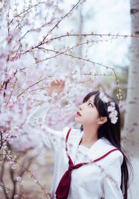 《大师兄》高清完整版_BD韩语全集免费播放